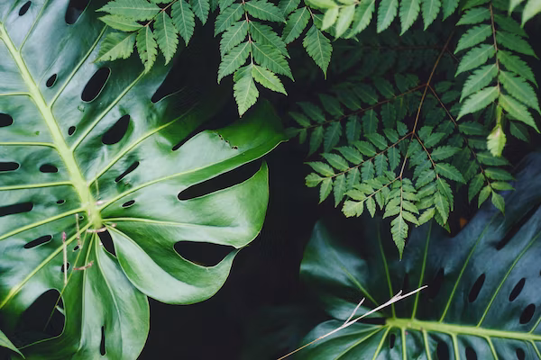 Greenplant