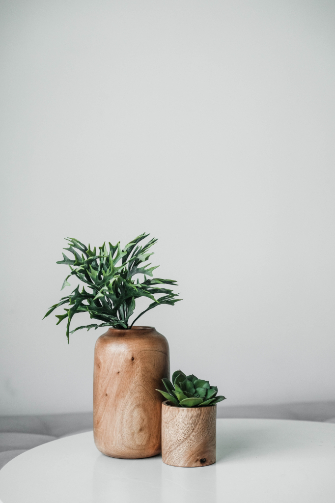 plant2